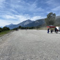 IMG_0733